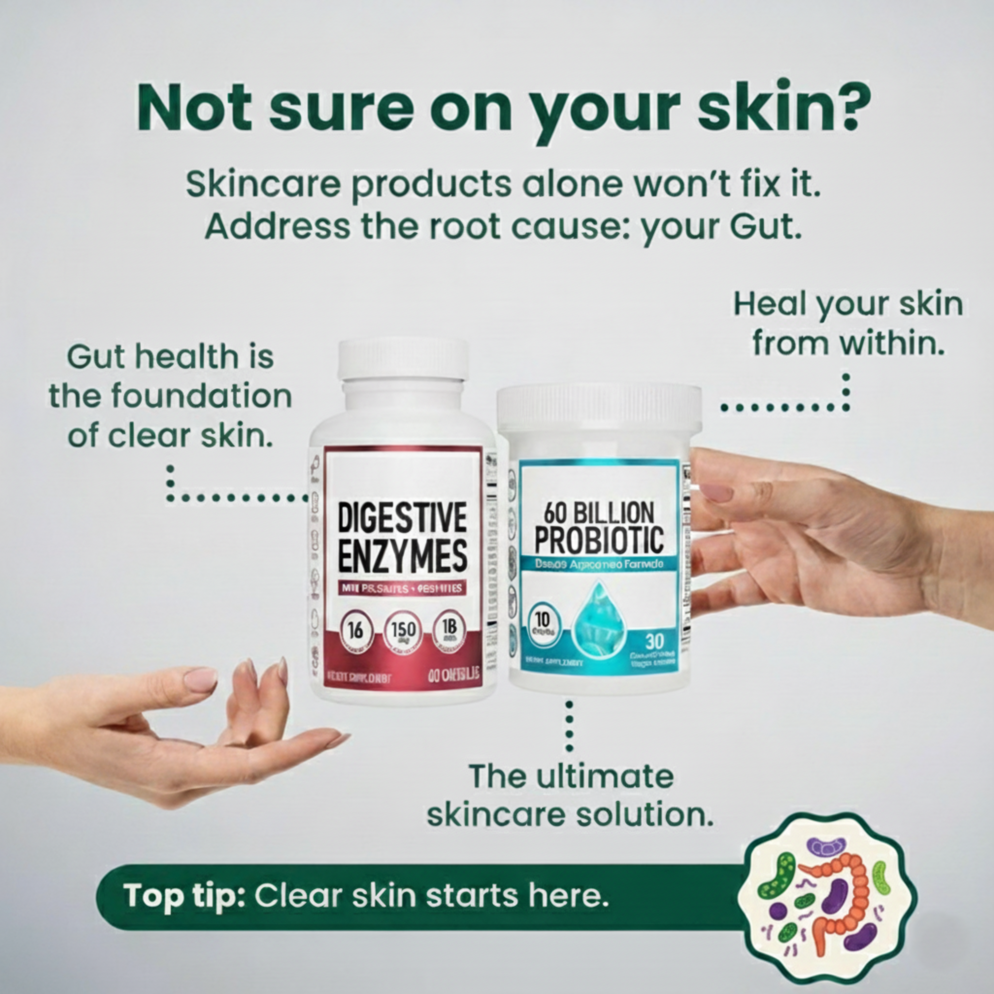 CalmWave Clear Within™ Gut Probiotic